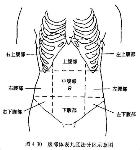 上腹部大|上腹部大的原因有哪些？